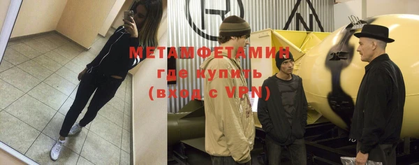 крисы Надым