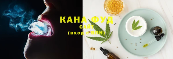 крисы Надым