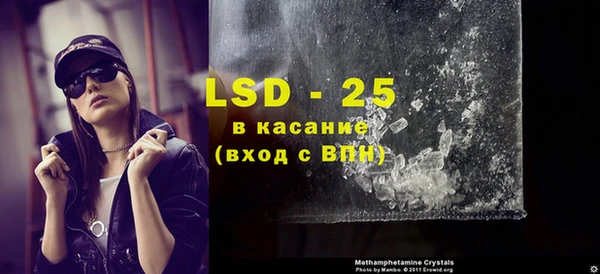 крисы Надым
