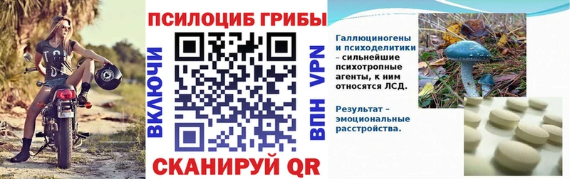 Псилоцибиновые грибы Cubensis  купить  сайты  Стерлитамак 