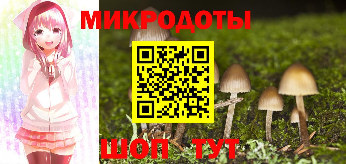 Стерлитамак  купить закладку  Вход с VPN  Галлюциногенные грибы Magic Shrooms 